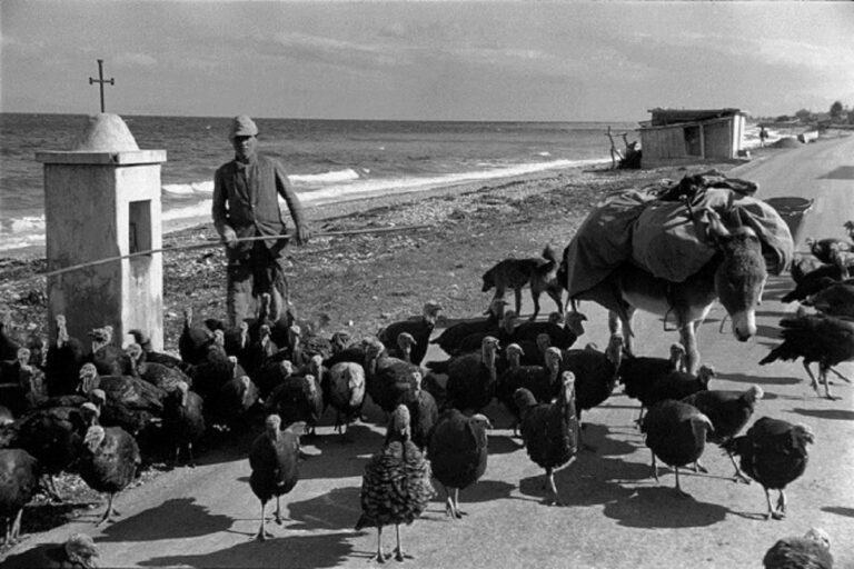 Ιστορική φωτογραφία: Αττική, λίγο πριν απ’ τα Χριστούγεννα του 1953
