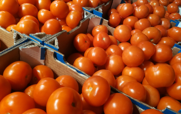 Κατάσχεση 970 κιλών ντομάτας Ιταλίας λόγω φυτοφαρμάκων