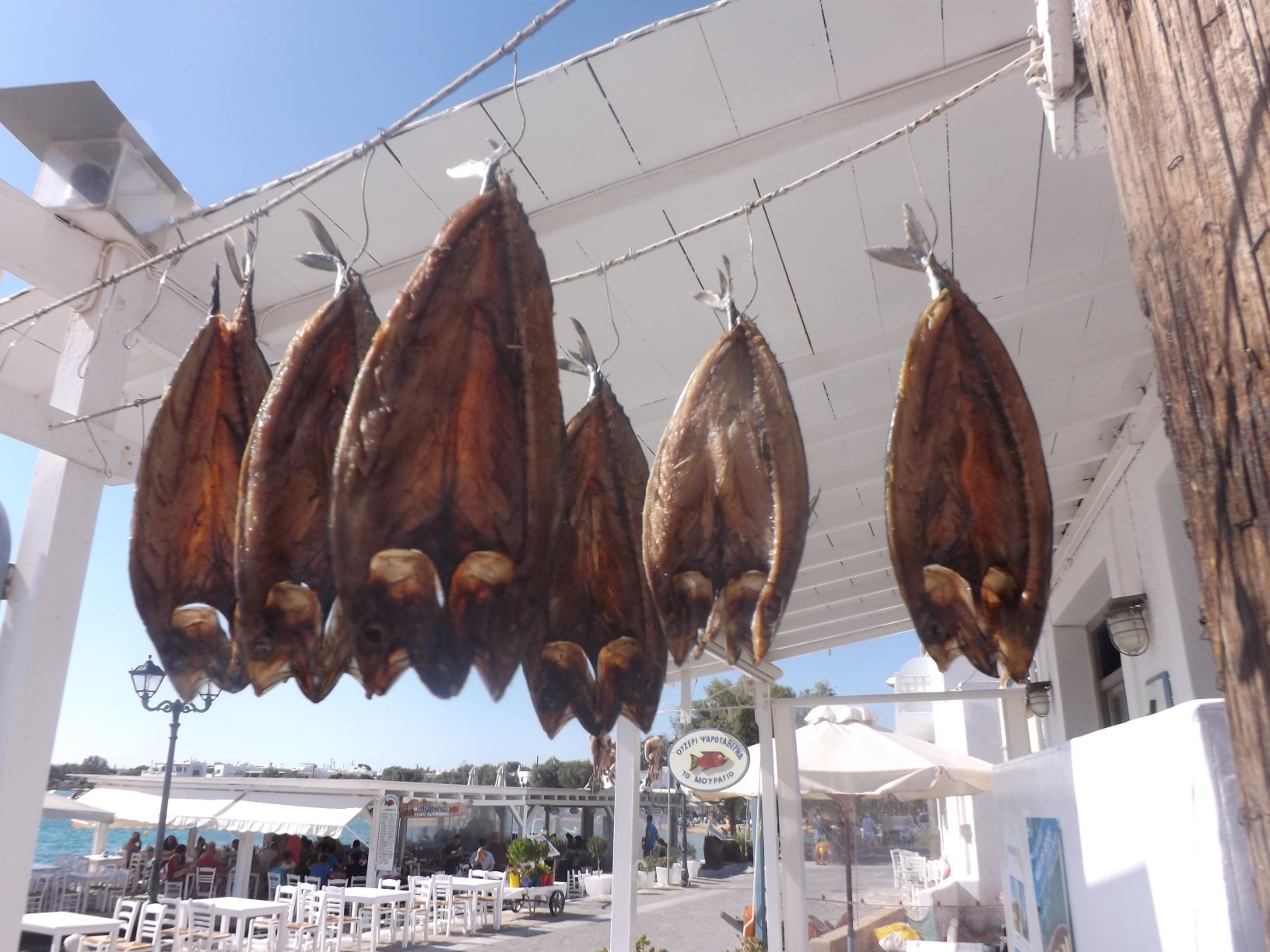 Γούνα Πάρου – Λιόκαφτος ψαρομεζές απ’ τα παλιά για σούμα και ουζάκι