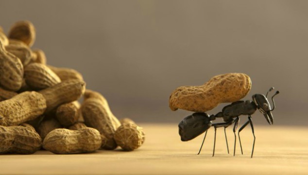 Αυτοί είναι οι πιο φυσικοί τρόποι για να εξαφανίσετε τα μυρμήγκια