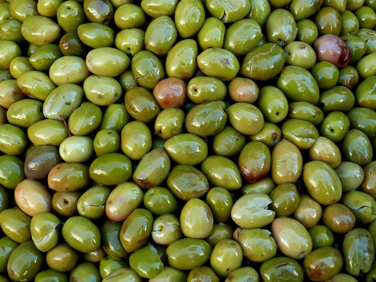 Χαλκιδική: Αυξημένη αναμένεται η φετινή παραγωγή πράσινης ελιάς