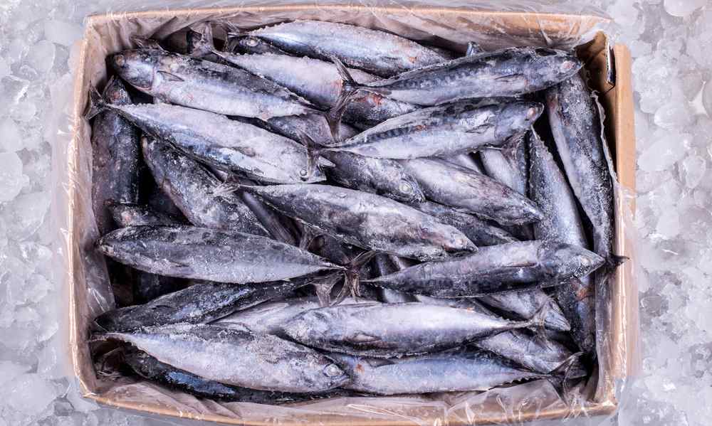 Κατάσχεση 2.144 κιλών ακατάλληλων ψαριών σε αποθήκη του Πειραιά