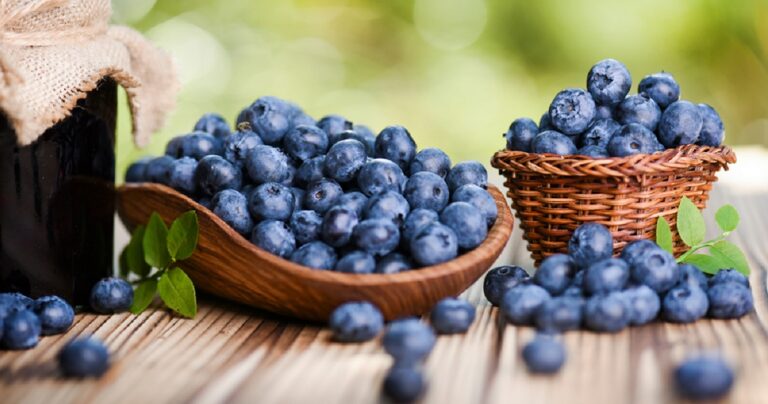 «Σκίζουν» τα blueberries από τη Δράμα – Ελληνικά μύρτιλα κατακτούν το εξωτερικό