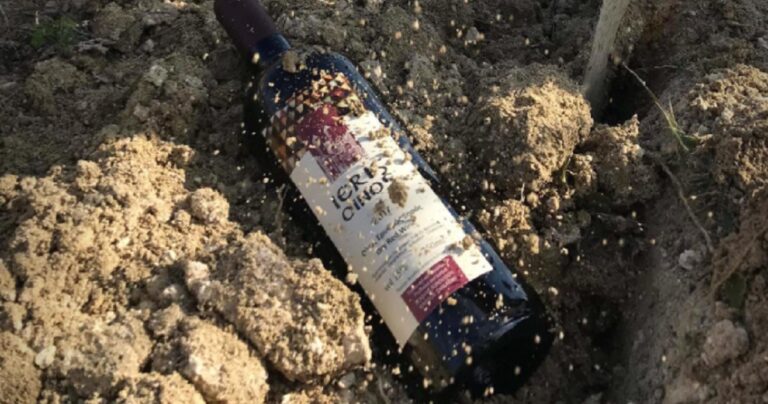 Ιερισσός – Οινοποιείο «φυτεύει» μπουκάλια με κρασί για παλαίωση