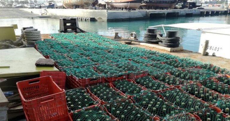 Οινικό «Ναυάγιο» – Υποβρύχιο …κελάρι με χιλιάδες μπουκάλια κρασί στο Ηράκλειο