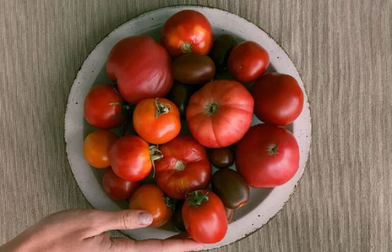 Ντομάτες – Πόσο ευεργετικές είναι για τον οργανισμό