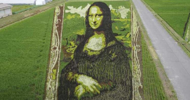 Η «Mona Lisa» σε ρυζοχώραφο