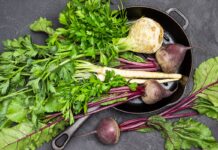 Φθινοπωρινό τραπέζι – Γιορτάζουν οι ρίζες, οι βολβοί και οι «πικρές» σαλάτες