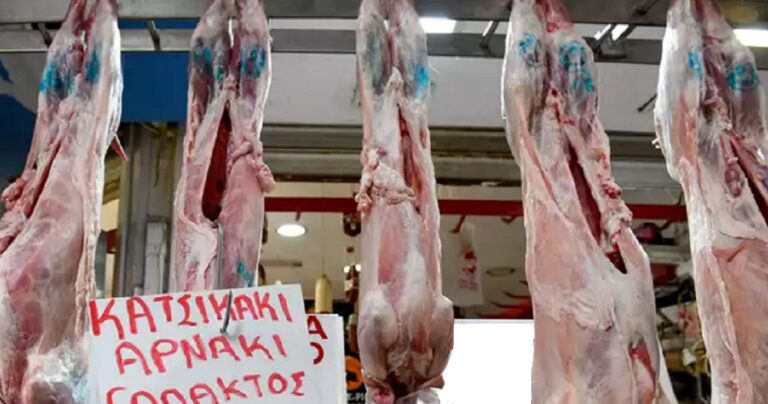 Πασχαλινές αγορές – Όσα αποκαλύπτουν οι σφραγίδες στα αρνία και κατσίκια