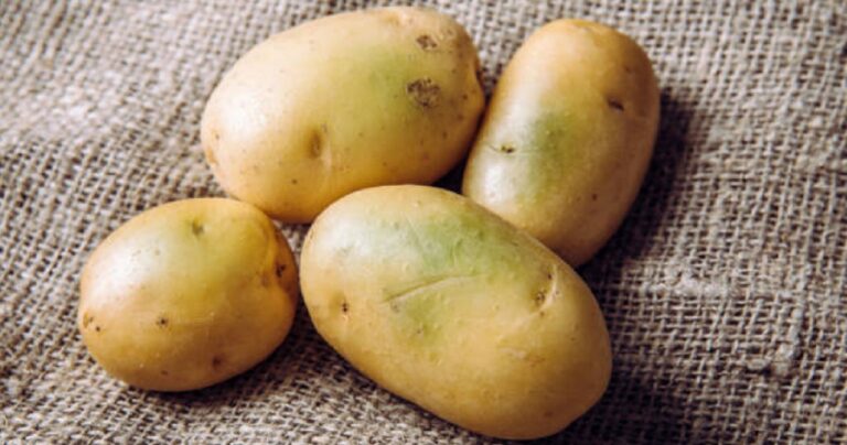 Πράσινες πατάτες – Τρώγονται ή δεν τρώγονται;