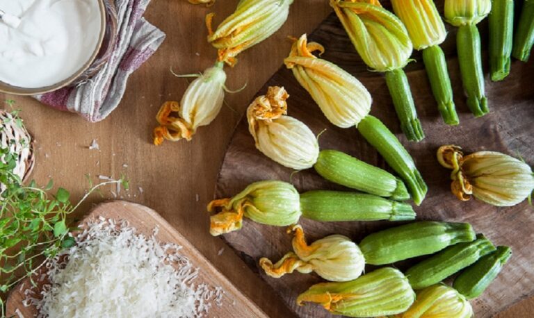 Τρυφεροί κολοκυθοανθοί – Οι πιο ωραίες συνταγές