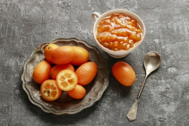 Κουμ κουάτ – Το «χρυσό πορτοκάλι» του Ιονίου και οι συνταγές του