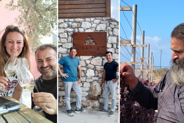 Κρητικός αμπελώνας – Τρία οινοποιεία παρουσιάζουν τα διαμαντάκια τους Κρητικός αμπελώνας – Τρία οινοποιεία παρουσιάζουν τα διαμαντάκια τους