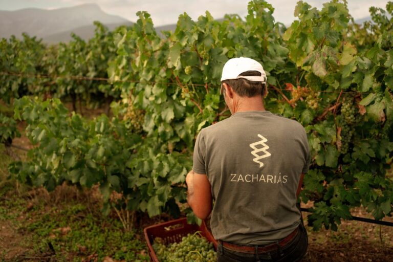 Οινικά masterclasses, παρουσίαση βιβλίου και δυνατά grooves στο Οινοποιείο Zacharias