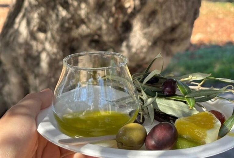 Διεθνές ραντεβού στη Λέσβο με ελιά και ελαιόλαδο στο επίκεντρο